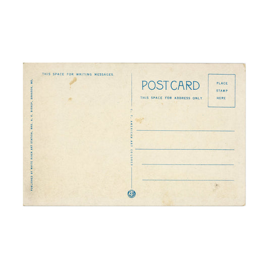 Postcard Lake Taneycomo Branson MO